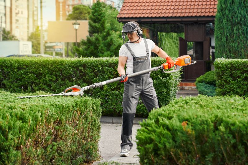 Hedge Removal Service