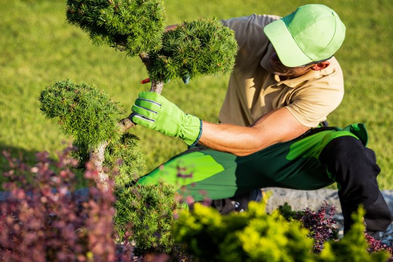 Healthy, Trimmed Shrubs