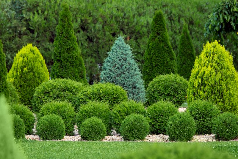 Shrubs Shaped for Design
